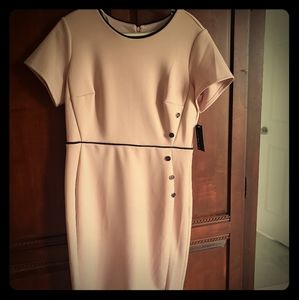 NWT pale pink dress